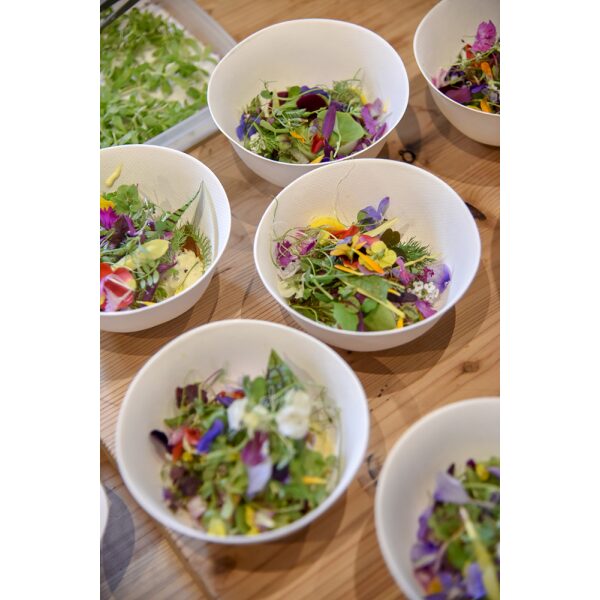 Compostable Bowls filled with salad arranged on a wooden table