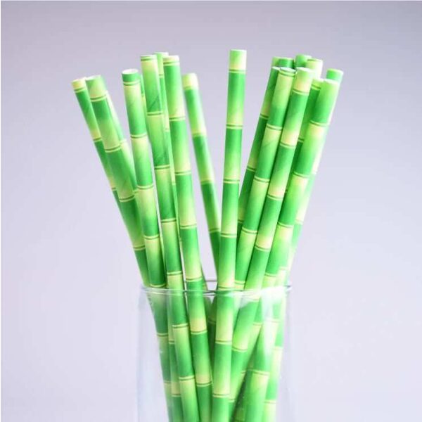 3 ply Green Bamboo Paper Straws